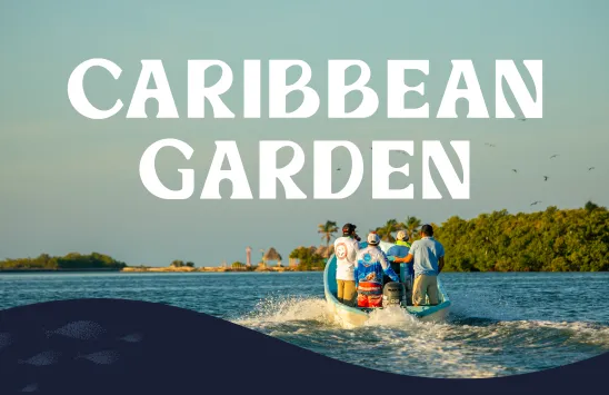 Caribbean Garden