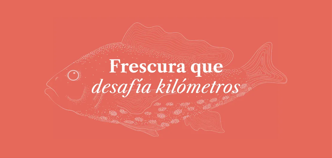 CARIBBEANMesa de trabajo 13