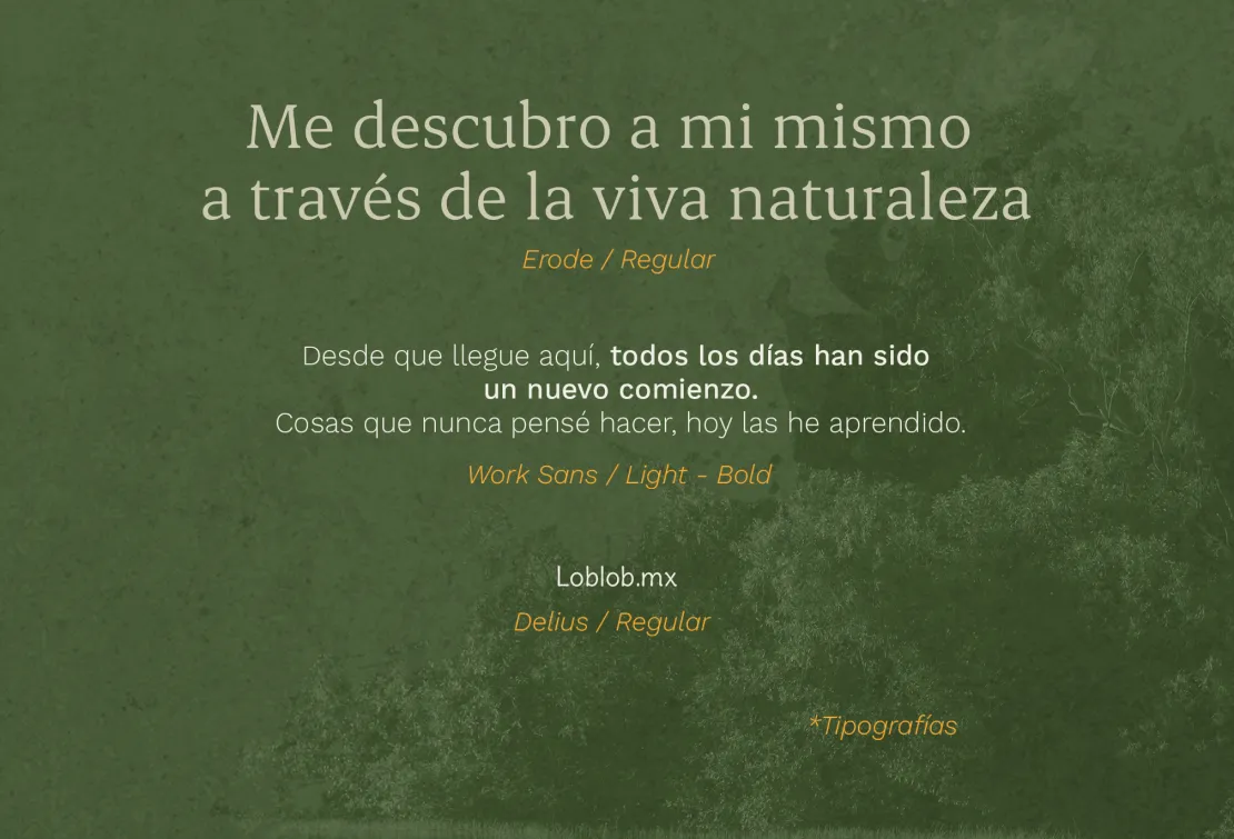 LOB_DOC WEB_07_2016 PX POR 1373 PX_RGB