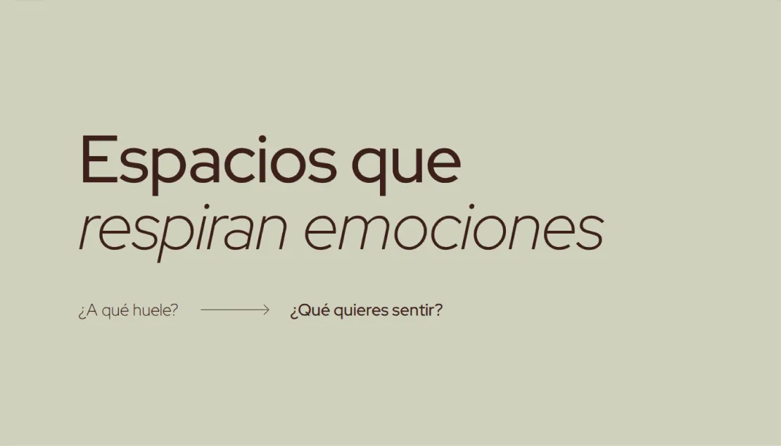 SENZOMesa de trabajo 6