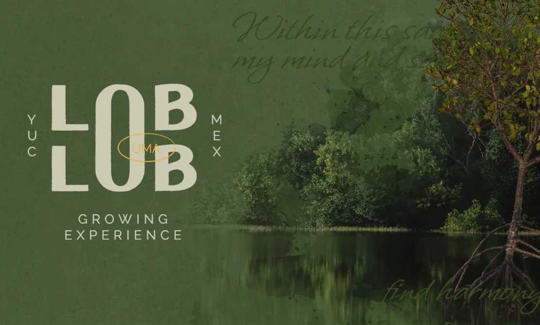 LOB_DOC WEB_01_2016 PX POR 1216 PX_RGB