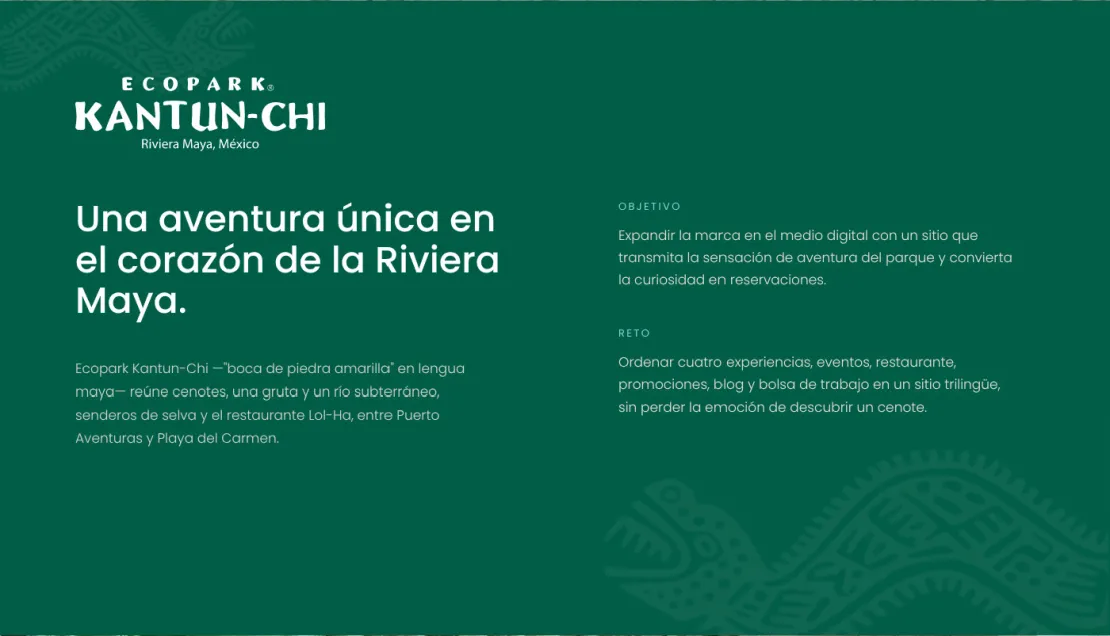 KCMesa de trabajo 2 copia